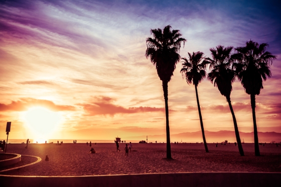 Beautiful picture of the Venice Beach, Los Angeles. 